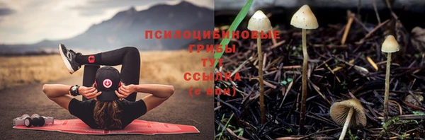 дистиллят марихуана Корсаков