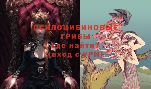 а пвп мука Костерёво
