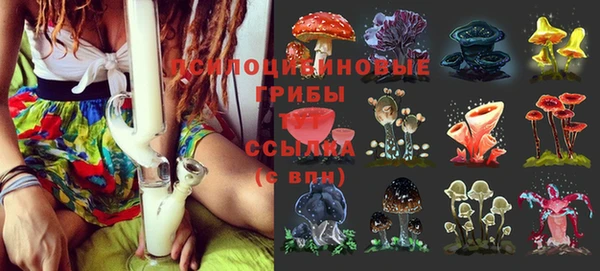 спайс Сосновка