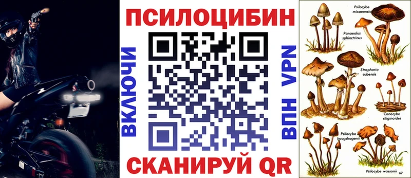 Купить где  Горнозаводск  Псилоцибиновые грибы ЛСД 